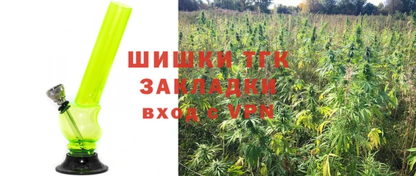 сатива Абинск