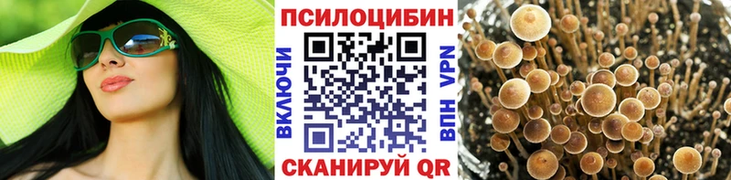 купить   Елизаветинская  Псилоцибиновые грибы Magic Shrooms 