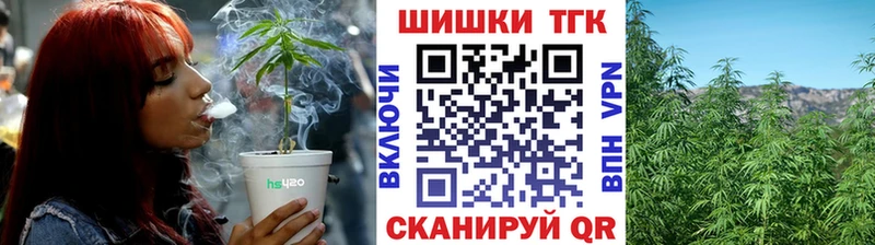 Конопля индика  блэк спрут как зайти  Елизаветинская 